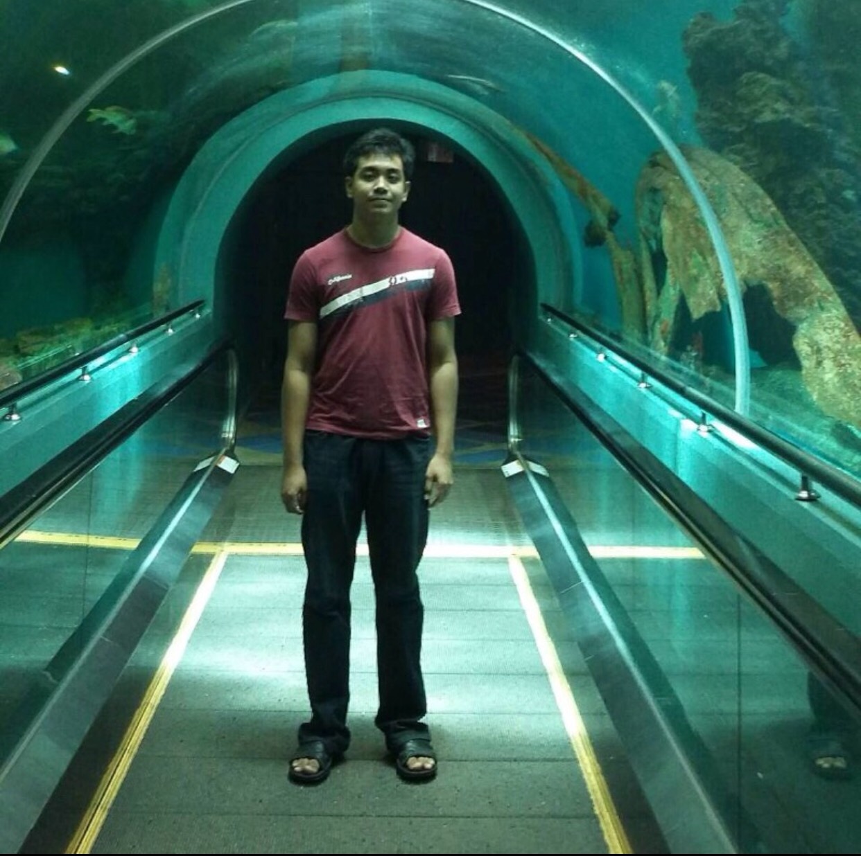 UploadImage